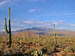 arizona desert